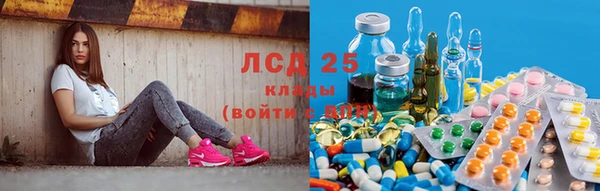 PSILOCYBIN Лабытнанги