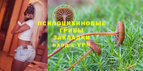 экстази Лихославль