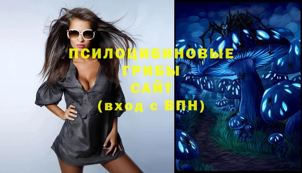 PSILOCYBIN Лабытнанги