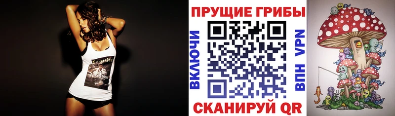 что такое   Усть-Лабинск  Псилоцибиновые грибы прущие грибы 