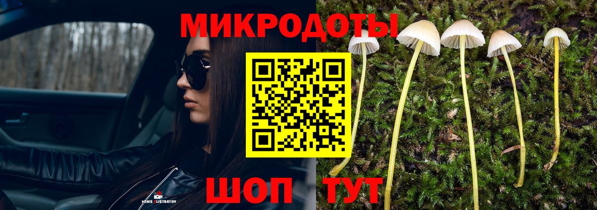Усть-Лабинск  Конопля  Вход с VPN  Гашик  Мяу-Мяу  Альфа-ПВП 
