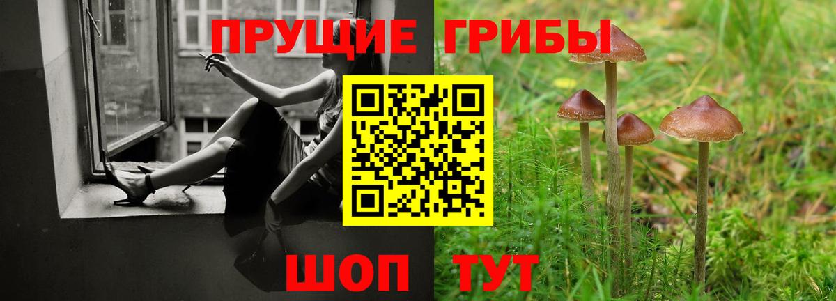 Галлюциногенные грибы GOLDEN TEACHER Усть-Лабинск